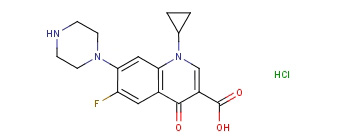 ỷɳ